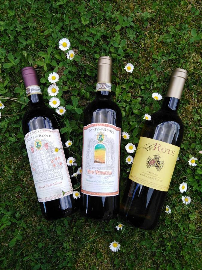 Agriturismo Le Rote Villa San Gimignano Eksteriør bilde